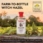 تونر فندق افسونگر و اسطوخودوس تایرز۳۵۵ میل| Thayers Witch Hazel LavenderFACIAL TONER 355 ml - Image 5