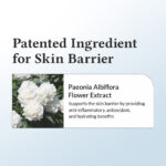 کرم مراقبت از پوست حساس و آسیبدیده Dr. Althea 147 Barrier Cream - Image 4