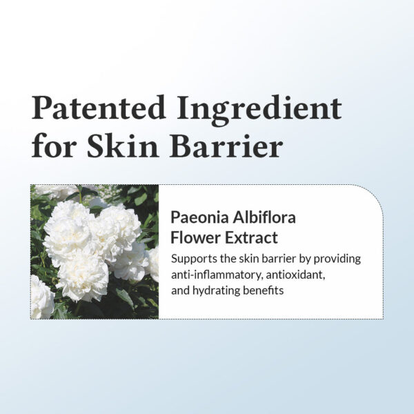 کرم مراقبت از پوست حساس و آسیب‌دیده Dr. Althea 147 Barrier Cream - Image 4